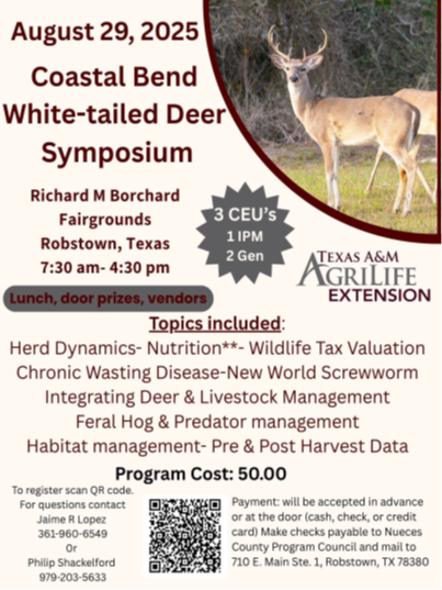 white tail deer aug 29